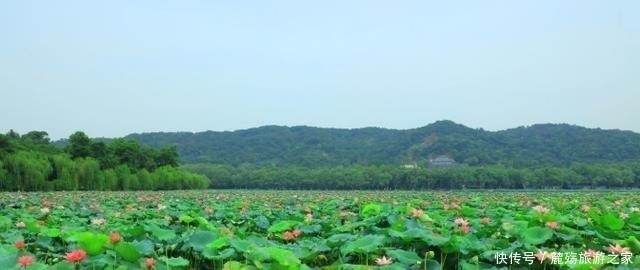 门票|我国“最有良心”的风景区，坚持17年不收取门票，游客纷纷点赞