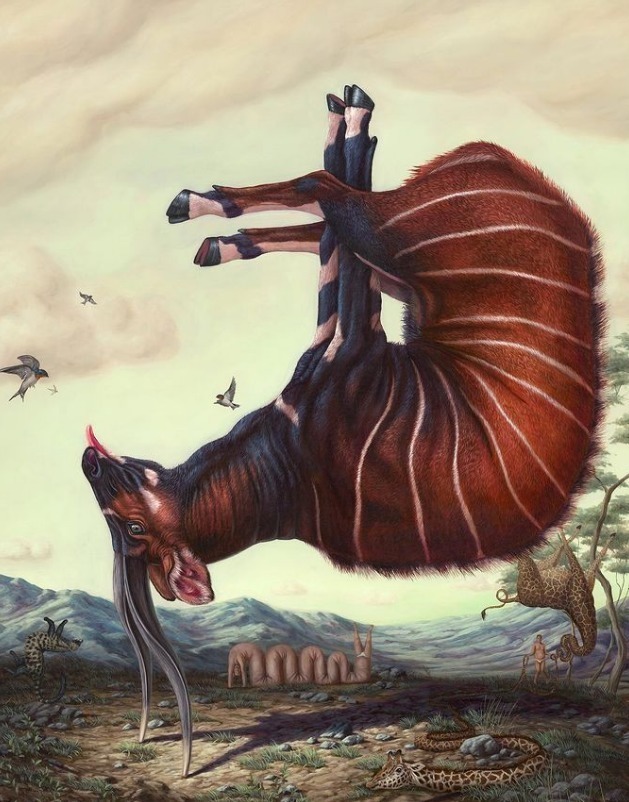 动物们&胆小谨点,插画师笔下的诡异动物看完一秒清醒!