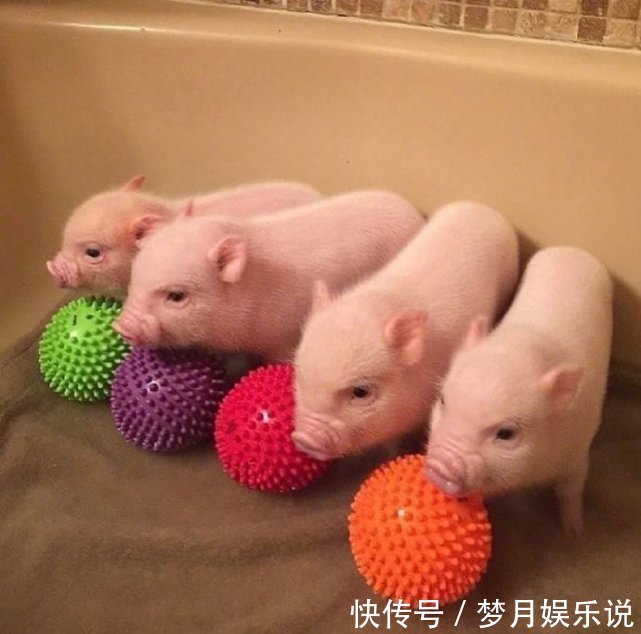 |十条笑话:你说男人真是神了,居然能让女人生出小孩来!