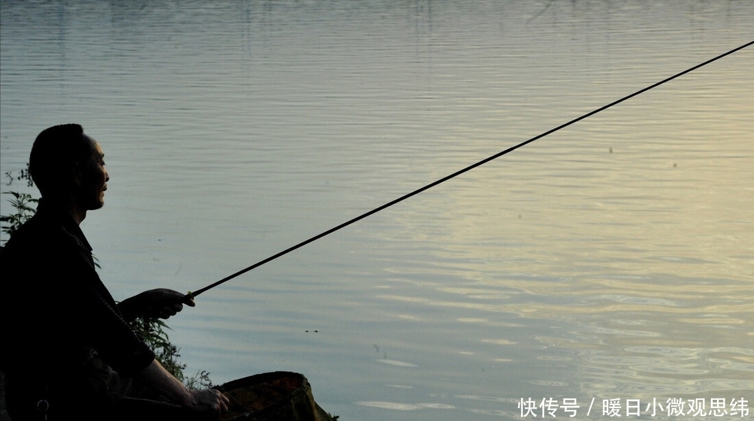 关键|连鲫鱼都钓不好?关键不在于饵料,就是因为不会控频率