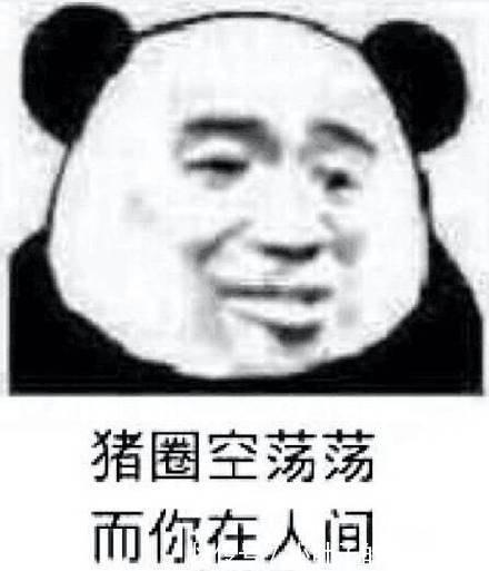 |十条段子:家有两只猫天天秀恩爱,我给分别关起来了!