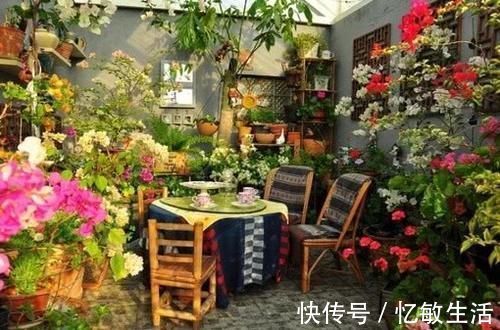 花园|15个私家小院花园设计,聚三两知己共饮,享受慢调生活
