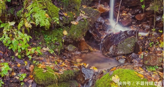  邂逅|百闻不如一见，邂逅黄柏塬醉美红叶，层林尽染漫山红遍