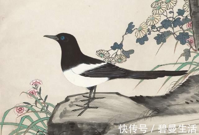 作品#于非闇画四只喜鹊,100万一只不为过,画得比齐白石还要好