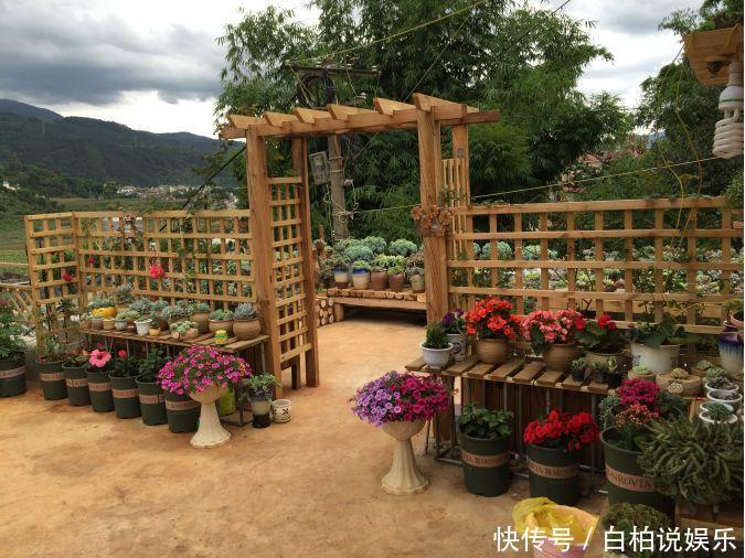 女婿在楼顶养多肉,村里人都跑来参观,丈母娘高兴坏了!