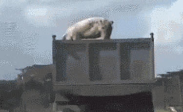 |搞笑GIF:后面的妹子,你怎么不用手推门,看着为你心疼!