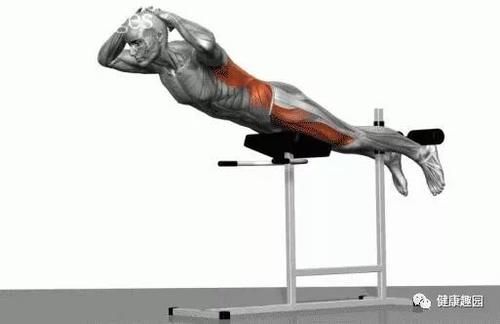 肱三头肌|肌肉群锻炼动作示意图，想练什么对号入座！