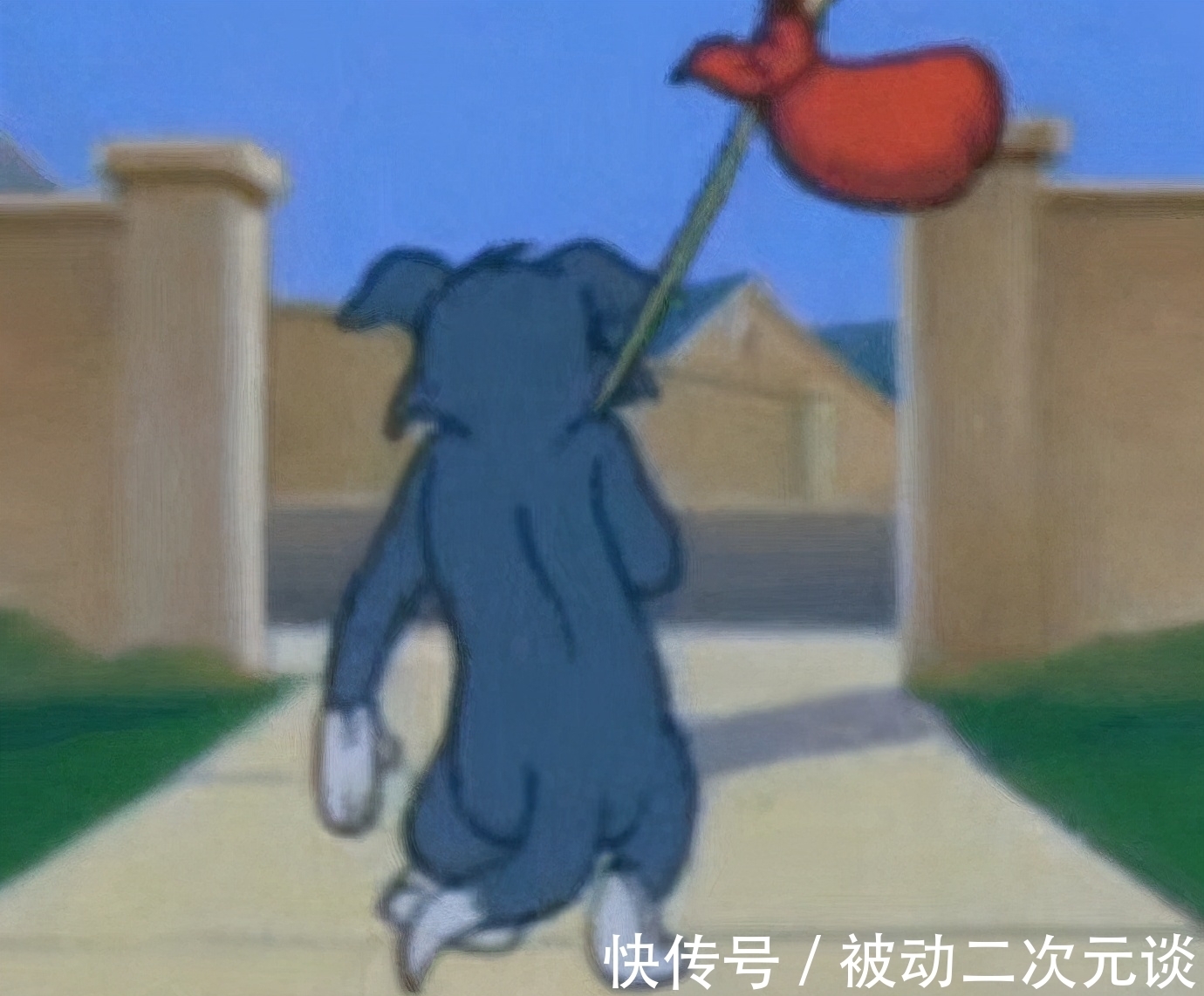 水准|拉高综艺水准,董明珠太会当老板了,金句频出令人上头!