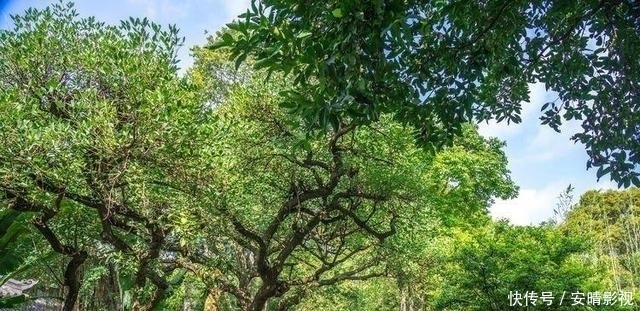 泉清石奇|南宁这个5A级景区，门票只需20元，站在山顶就能看到全景