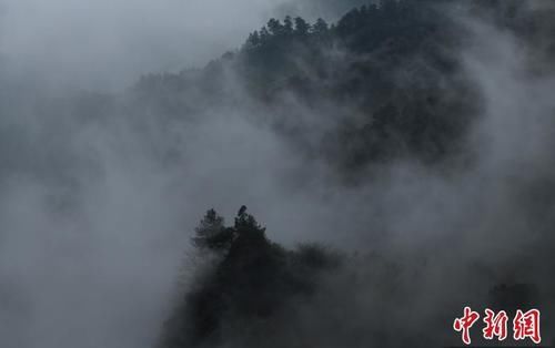 重庆黑山谷雨雾缭绕宛如仙境