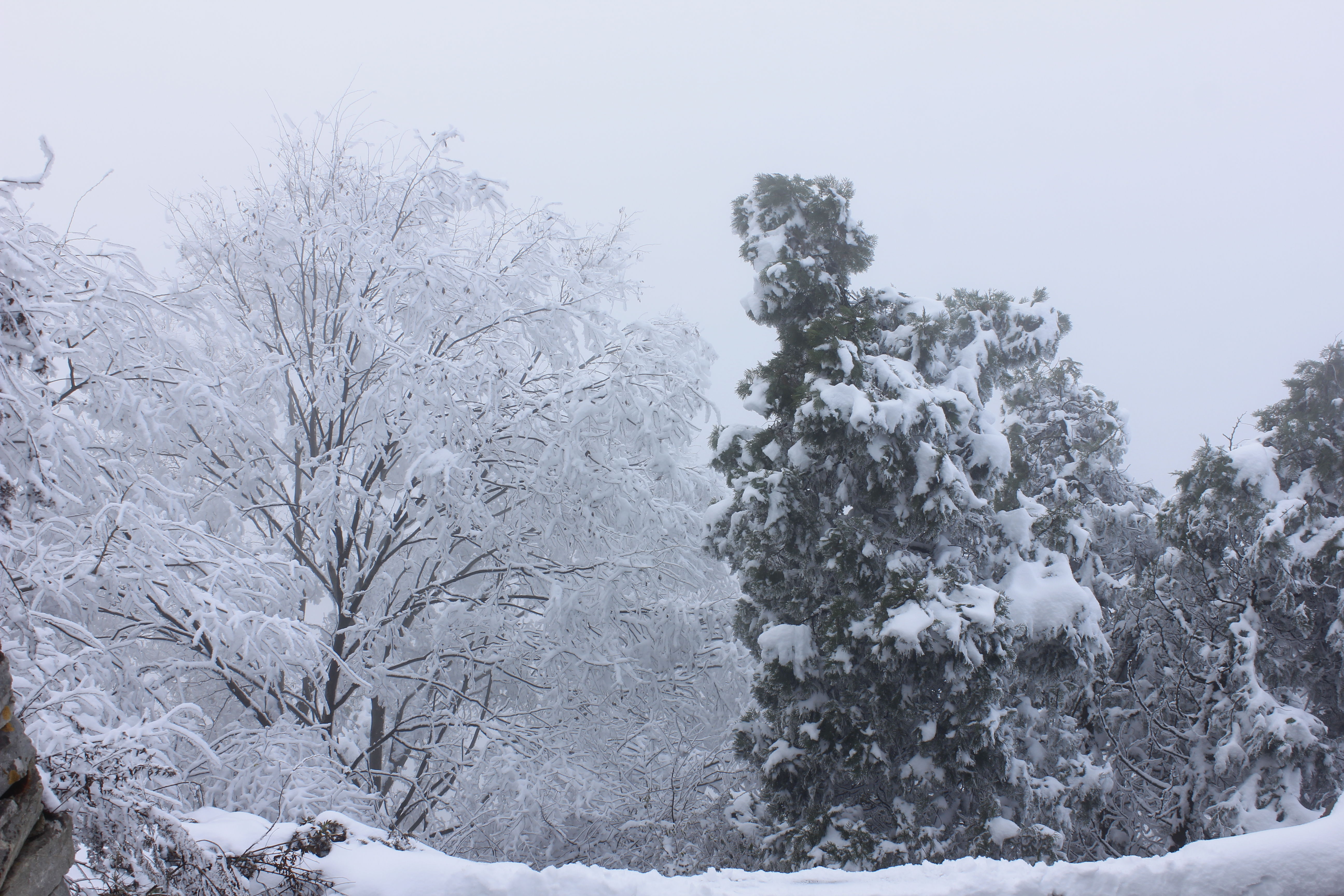 征集|【年末福利征集】雪后南五台幸遇云海