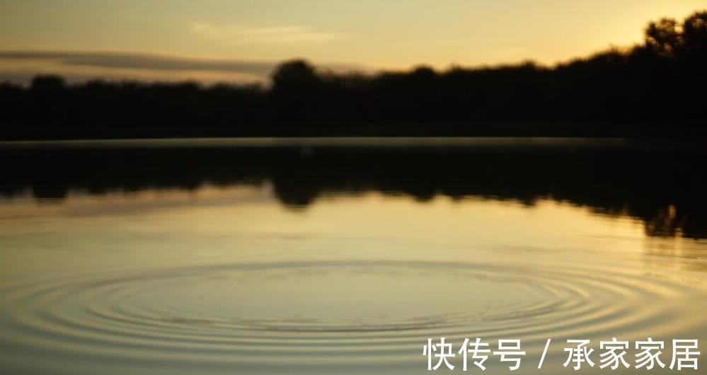 钓具|掌握黑鱼垂钓秘密,即使再凶猛的黑鱼也可以轻松钓到