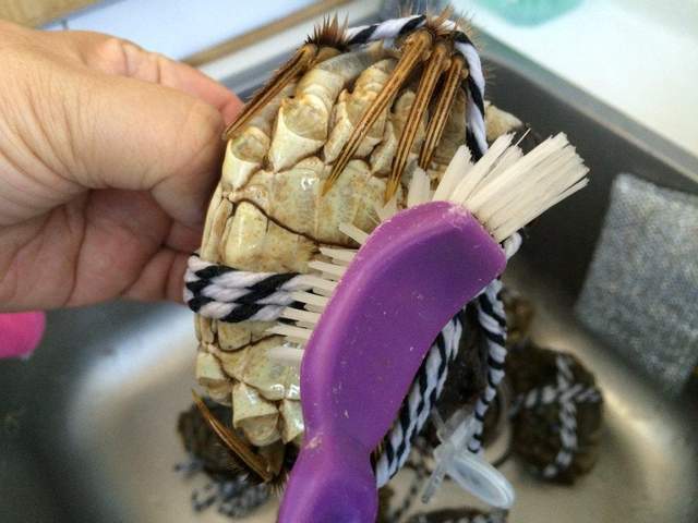 这才是蒸螃蟹的正确做法,牢记4个步骤,肉质鲜美,蟹黄一滴不漏