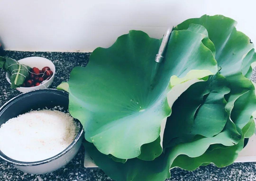 叶子|7种叶子，适合包粽子，操作方便还有竹香！