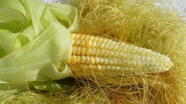 黄芪泡水|黄芪泡水，三大好处“手到擒来”！切记，“五必喝、四不喝”