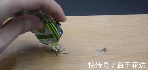 家里有风油精的都该看看,好多人还不当个事,看后抓紧转告家里人