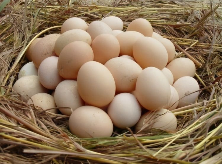 女性想要肌肤好，3种食物离不开，美容养颜，延缓衰老，呵护肌肤