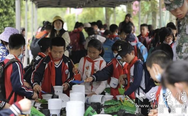 江夏区文化路小学开展课外研学活动