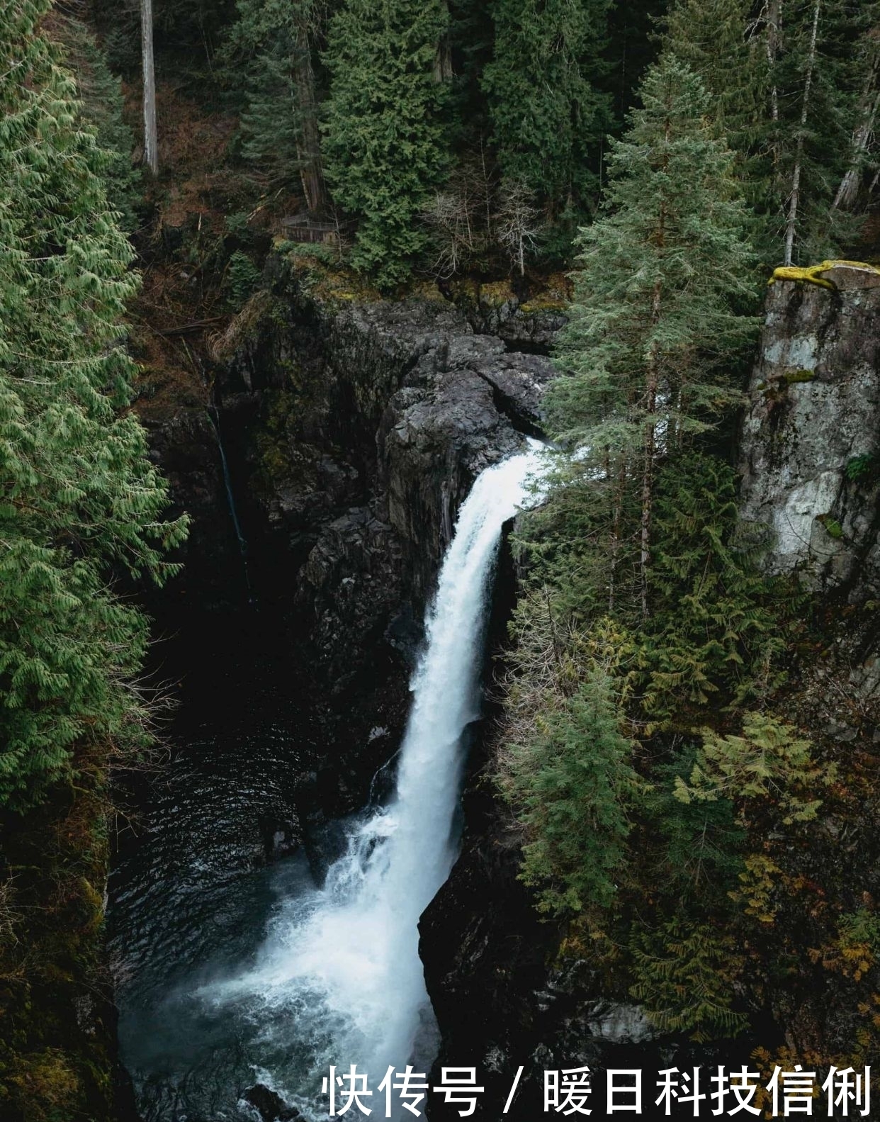钓鱼|台钓如何打窝（精髓）