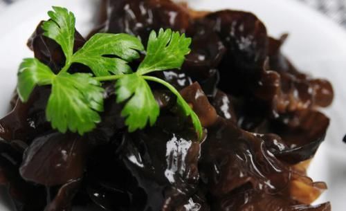 蹭蹭|高血脂真正的“源头”找到了,并非肥肉,常吃这3物,血脂蹭蹭涨