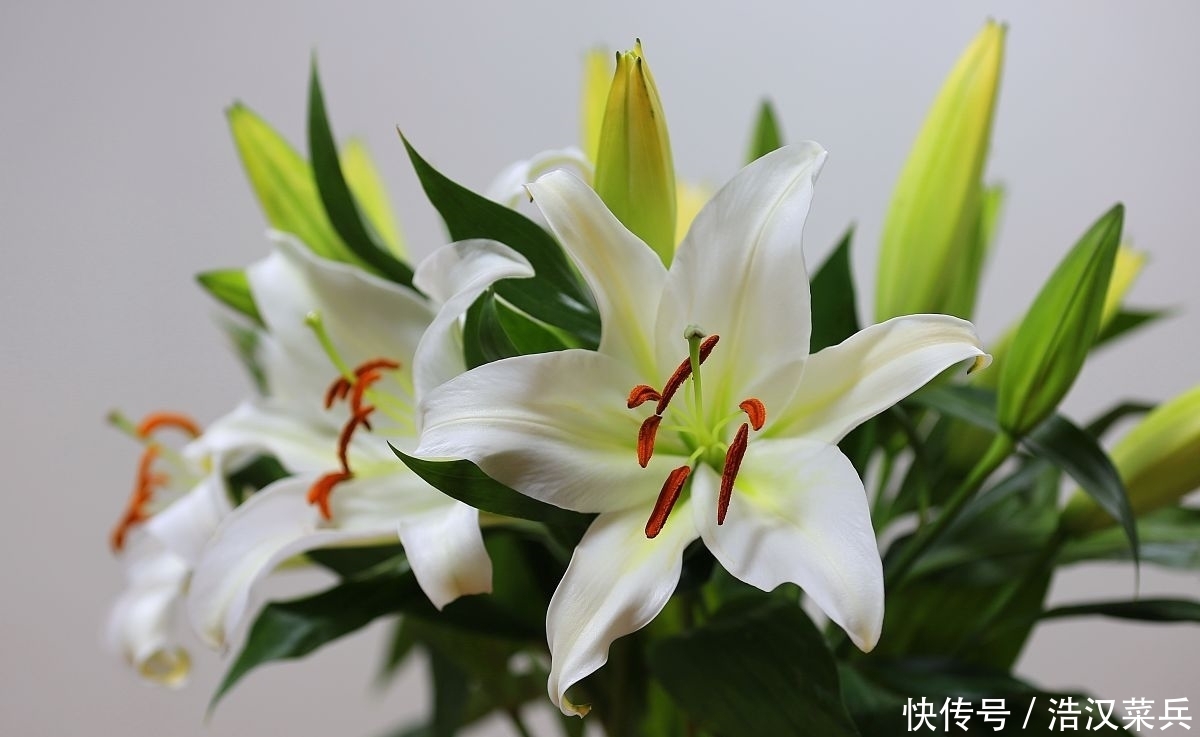 九首夏日清新诗词 晚花红片落庭莎 几回疏雨滴圆荷 全网搜 九首夏日清新诗词 晚花红片落庭莎 几回疏雨滴圆荷 全网搜