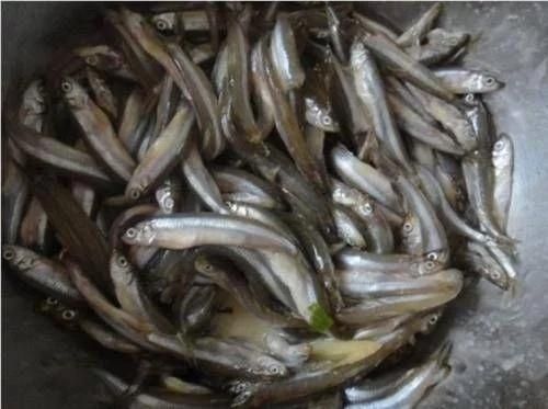 不管炸什么鱼 千万不要用淀粉或面粉