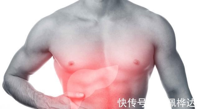 肝脏健康|别等到肝不好再来调,5个养肝方法,把肝一天一天“补回来”