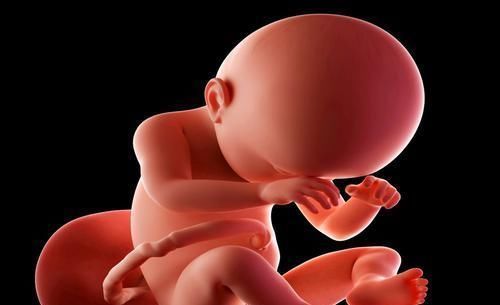 小调皮|预知胎宝宝性格,孕期4种反应做好费心准备,可能是个“小调皮”