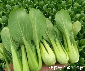 老蔡|孩子在暑假不吃蔬菜，真的能用蔬菜干代替吗？