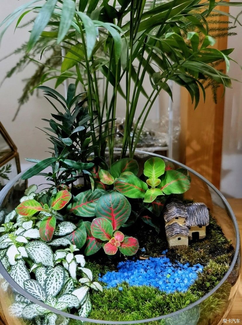 冬天的峨眉一个童话般的冰雪世界，真是美不胜收