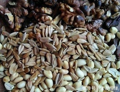 甘油三酯高,可以吃脂肪高的花生、瓜子等坚果吗?营养师告诉你