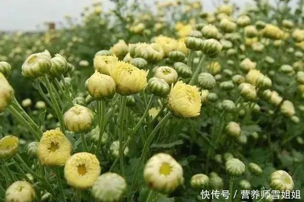 “春困”来临,你却睡不着、半夜总醒?警惕2种情况,别不当回事