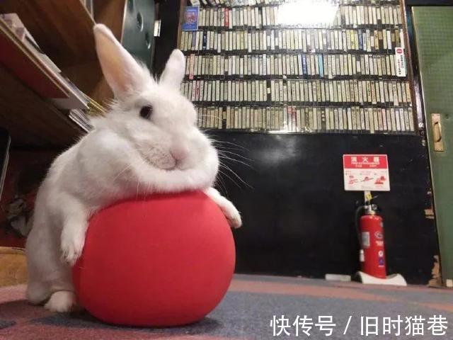 |医生好难，还要免费在线代做作业  冷段子1421 & 去年今日1111