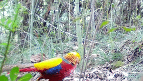 穿衣搭配|还在为穿衣搭配发愁？让“时尚达人”给你一些新思路