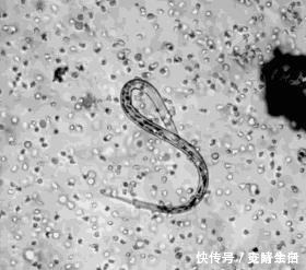 毛纳基 颠覆认知!看完这些图,你的世界观还好吗