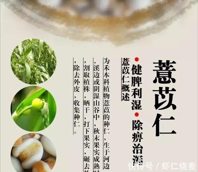 它既是粮食又是中药!肿瘤专家:这样吃更能发挥积极作用!