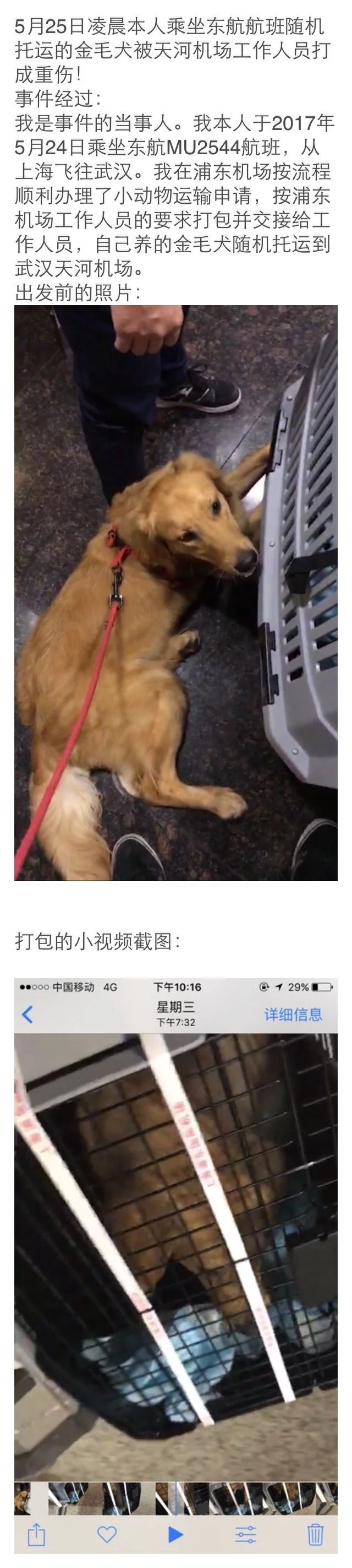 上海宠物航空箱公司