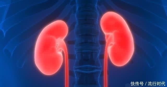 肾脏健康|早上起床时，男人别错过3件事，“肾功能”可能会强大起来！