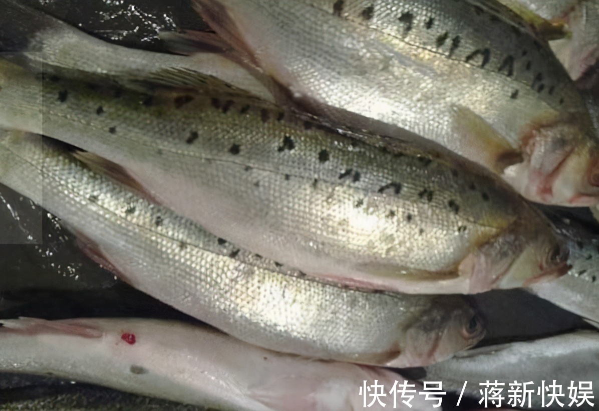 买鲈鱼别只会看大小,好不好吃就看4点,鱼贩这人不好忽悠