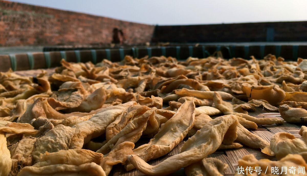 做法|晒萝卜干,应该先用盐腌制还是直接晒?都不对,教你正确做法