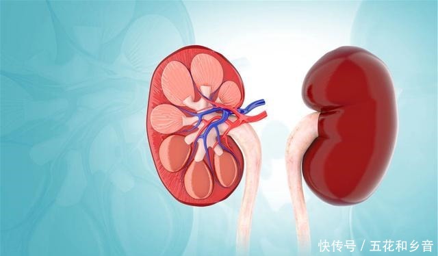 好坏|俗话说“一个榴莲顶3只鸡”,医生建议无论好坏,4类人少吃榴莲