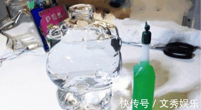 多肉怕水其实错了!5个科属的多肉“水培”以后,会长得更好