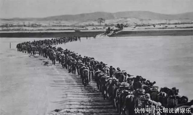 无处不在|124师黄草岭血战13天，打出了两个英雄连，美军：中国人无处不在