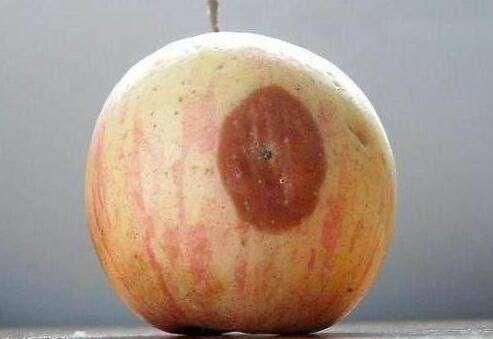 芒果|3岁内宝宝哪些水果不能吃?营养师:这些水果坚决不能给