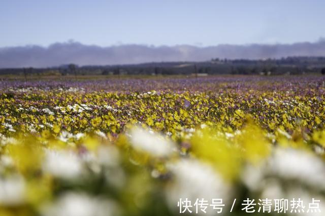 月老|月老赏识，牵手良人，共赴白头，拥你入怀中，余生共此生