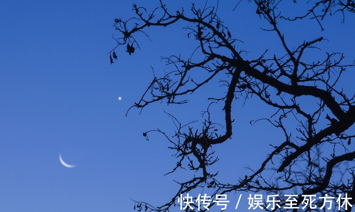 女人!女人更应该静下心来读书提升自己,向内收获更多的力量