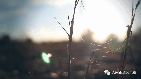 血管堵塞|65岁后的老人,选择静养好还是运动好这12种人最长寿,有你吗