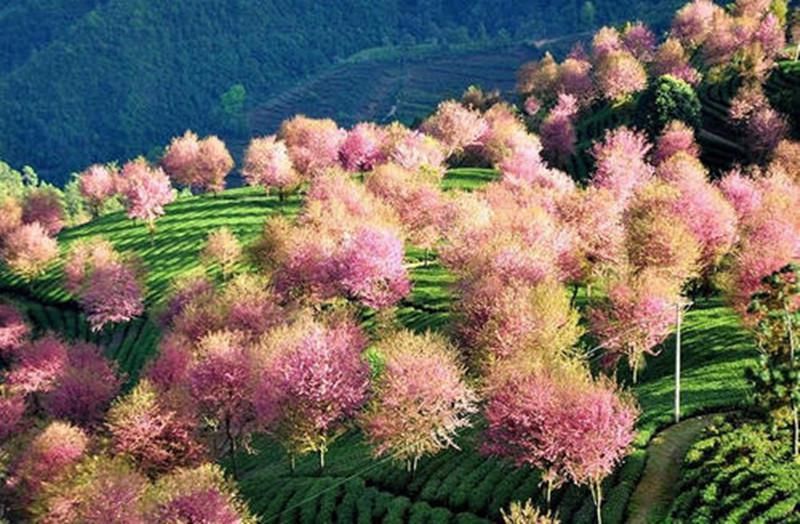 秋冬|年末旅行推荐，10个小众旅行地圆满你的秋冬，总有一处让你心动