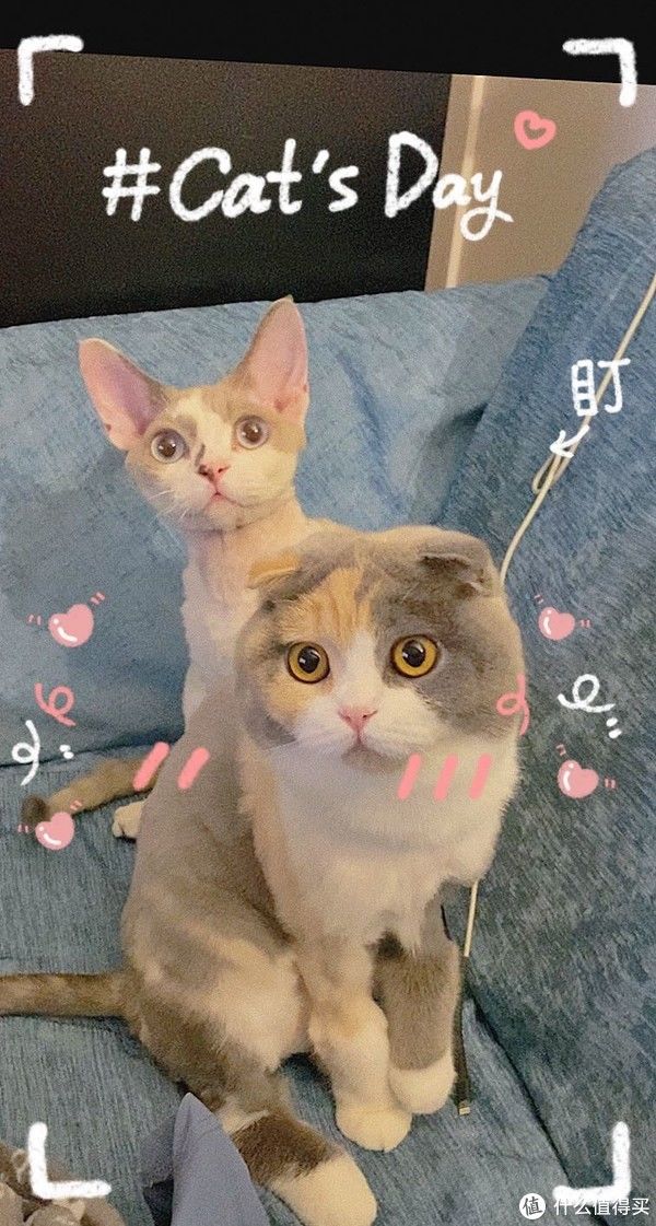 窗帘杆|装修 篇三：装修经验分享（三）