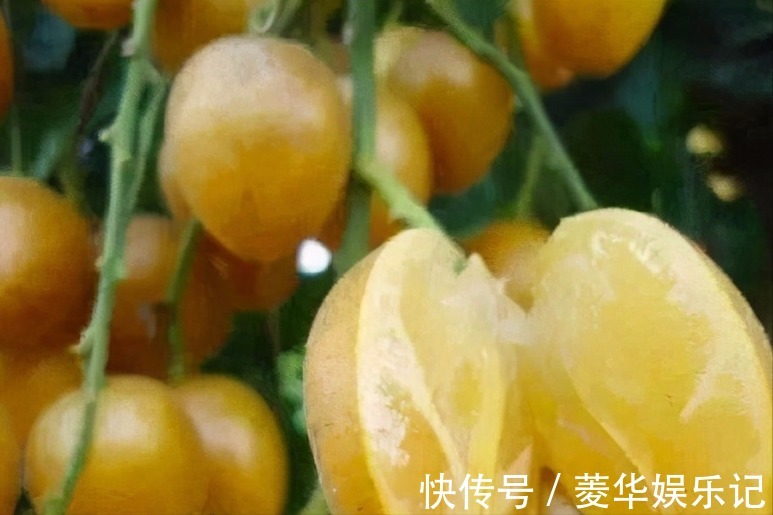 延缓衰老|每天晚上坚持吃3种食物,营养丰富,延缓衰老,有益健康